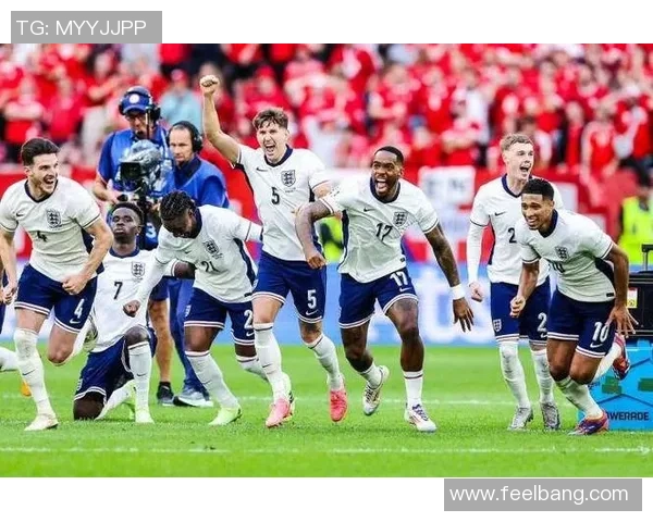 2020年欧洲杯北爱尔兰对阵荷兰精彩回顾与赛后分析